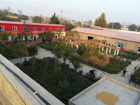 养老院院内环境